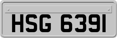 HSG6391