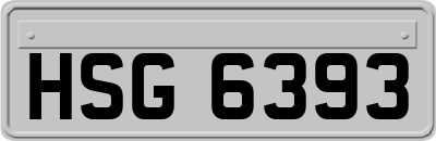 HSG6393