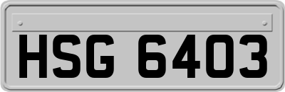 HSG6403