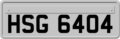 HSG6404