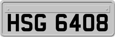 HSG6408