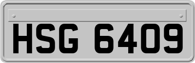 HSG6409