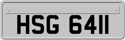 HSG6411