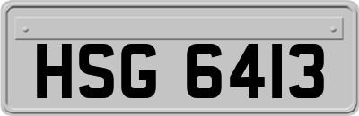 HSG6413