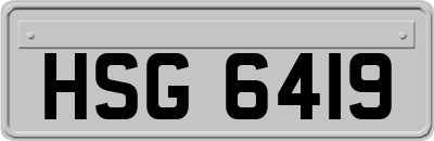 HSG6419