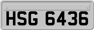 HSG6436