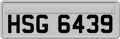 HSG6439