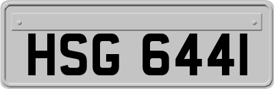 HSG6441