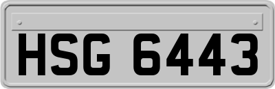 HSG6443