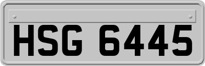 HSG6445