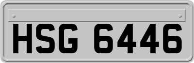 HSG6446