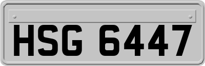 HSG6447