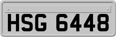 HSG6448