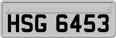 HSG6453