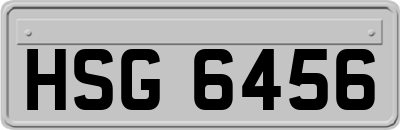 HSG6456