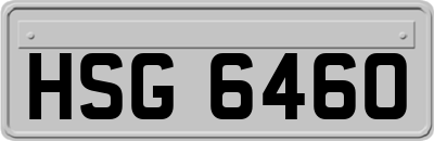 HSG6460