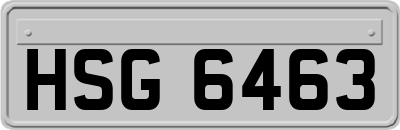 HSG6463
