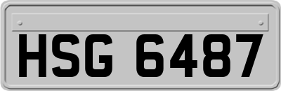 HSG6487