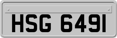 HSG6491