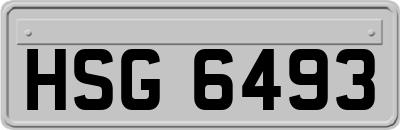 HSG6493