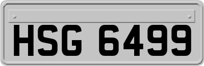 HSG6499