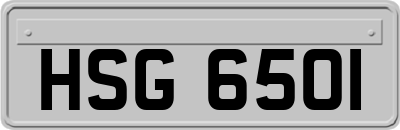 HSG6501