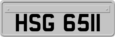 HSG6511