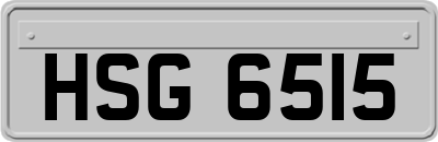 HSG6515