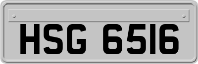 HSG6516