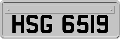 HSG6519