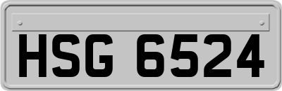 HSG6524