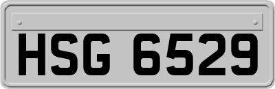 HSG6529