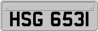 HSG6531