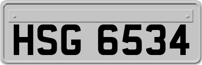 HSG6534