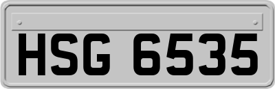 HSG6535