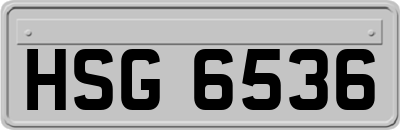 HSG6536