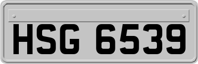 HSG6539