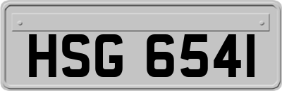 HSG6541