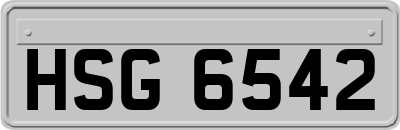 HSG6542