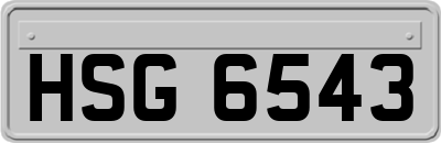 HSG6543