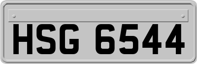 HSG6544