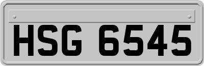 HSG6545