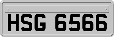 HSG6566