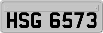 HSG6573