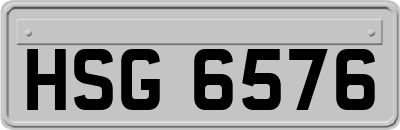 HSG6576