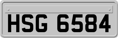 HSG6584