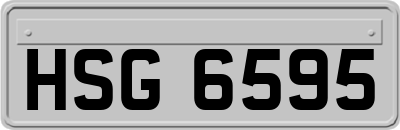 HSG6595