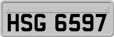 HSG6597