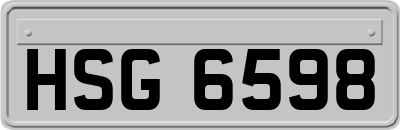 HSG6598
