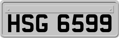 HSG6599